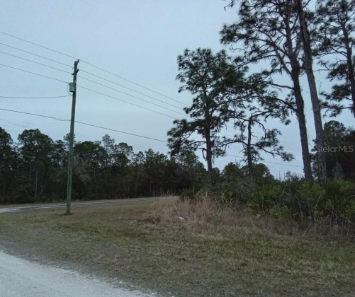 801 HIBISCUS DRIVE, LAKE WALES, Florida 33898, ,Land,For Sale,HIBISCUS,O6009414