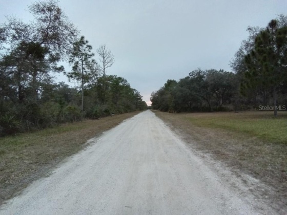 801 HIBISCUS DRIVE, LAKE WALES, Florida 33898, ,Land,For Sale,HIBISCUS,O6009414