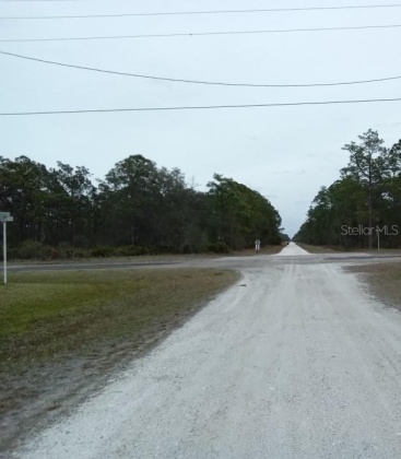 801 HIBISCUS DRIVE, LAKE WALES, Florida 33898, ,Land,For Sale,HIBISCUS,O6009414