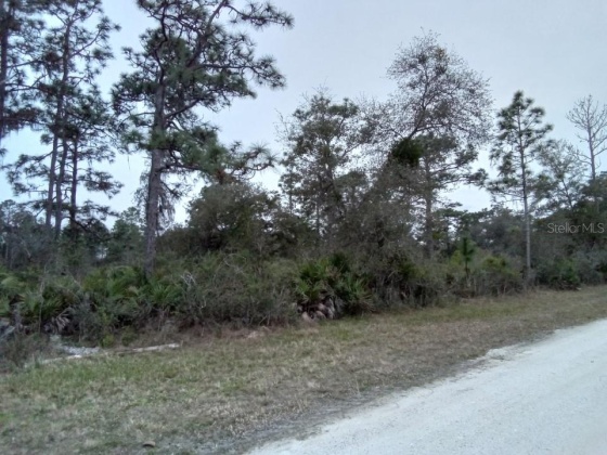 801 HIBISCUS DRIVE, LAKE WALES, Florida 33898, ,Land,For Sale,HIBISCUS,O6009414
