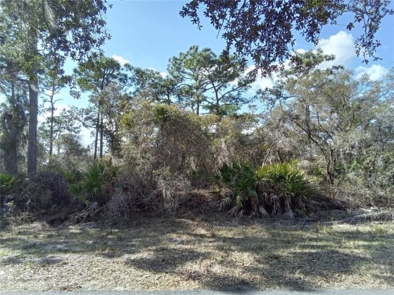 0 FORT MYERS DRIVE, INDIAN LAKE ESTATES, Florida 33855, ,Land,For Sale,FORT MYERS,O6009416