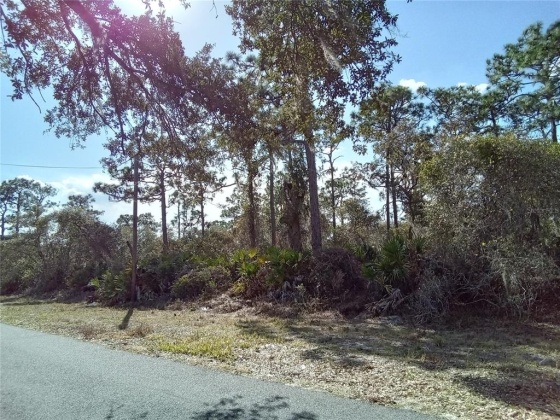 0 FORT MYERS DRIVE, INDIAN LAKE ESTATES, Florida 33855, ,Land,For Sale,FORT MYERS,O6009416