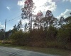 6616 AVOCADO DRIVE, INDIAN LAKE ESTATES, Florida 33855, ,Land,For Sale,AVOCADO,O6009421