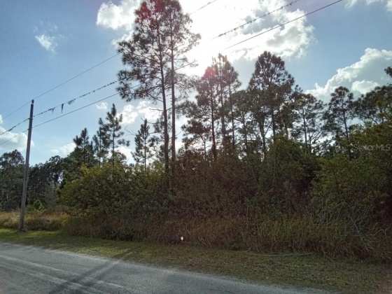 6616 AVOCADO DRIVE, INDIAN LAKE ESTATES, Florida 33855, ,Land,For Sale,AVOCADO,O6009421
