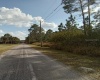 6616 AVOCADO DRIVE, INDIAN LAKE ESTATES, Florida 33855, ,Land,For Sale,AVOCADO,O6009421