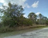 6616 AVOCADO DRIVE, INDIAN LAKE ESTATES, Florida 33855, ,Land,For Sale,AVOCADO,O6009421