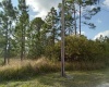 6616 AVOCADO DRIVE, INDIAN LAKE ESTATES, Florida 33855, ,Land,For Sale,AVOCADO,O6009421