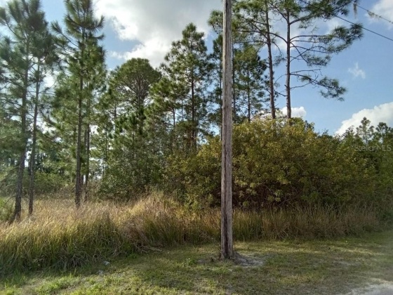 6616 AVOCADO DRIVE, INDIAN LAKE ESTATES, Florida 33855, ,Land,For Sale,AVOCADO,O6009421
