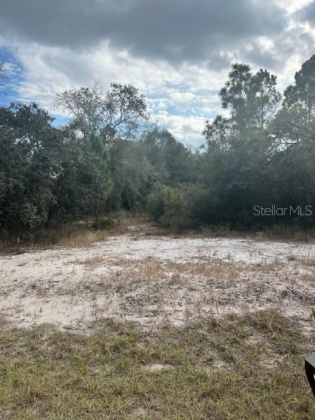 POINCIANA, Florida 34759, ,Land,For Sale,U8154447