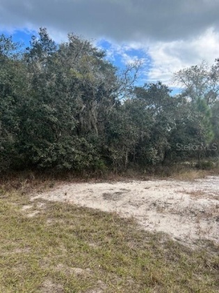 POINCIANA, Florida 34759, ,Land,For Sale,U8154447