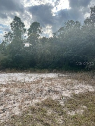 POINCIANA, Florida 34759, ,Land,For Sale,U8154447