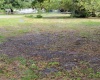 2451 TINY TERRACE, AUBURNDALE, Florida 33823, ,Land,For Sale,TINY,T3359789