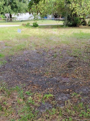 2451 TINY TERRACE, AUBURNDALE, Florida 33823, ,Land,For Sale,TINY,T3359789