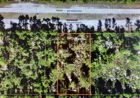 1023 JAPONICA AVENUE, INDIAN LAKE ESTATES, Florida 33855, ,Land,For Sale,JAPONICA,T3359611