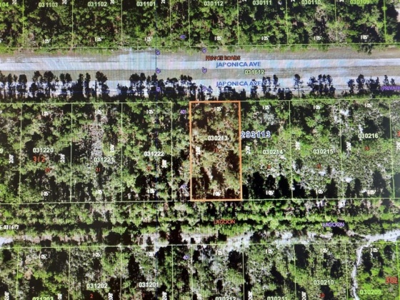 1023 JAPONICA AVENUE, INDIAN LAKE ESTATES, Florida 33855, ,Land,For Sale,JAPONICA,T3359611