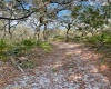 1986 SCRUB JAY TRAIL, FROSTPROOF, Florida 33843, ,Land,For Sale,SCRUB JAY,P4919812