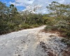1986 SCRUB JAY TRAIL, FROSTPROOF, Florida 33843, ,Land,For Sale,SCRUB JAY,P4919812