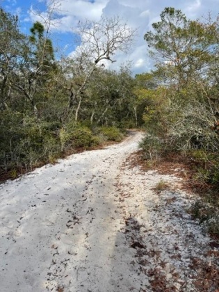 1986 SCRUB JAY TRAIL, FROSTPROOF, Florida 33843, ,Land,For Sale,SCRUB JAY,P4919812