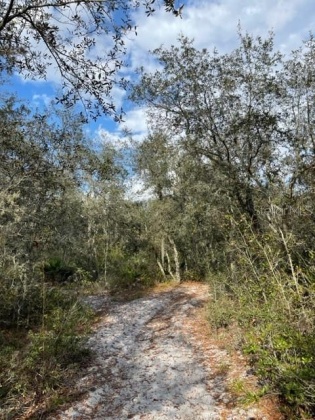 1986 SCRUB JAY TRAIL, FROSTPROOF, Florida 33843, ,Land,For Sale,SCRUB JAY,P4919812