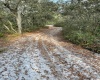 1986 SCRUB JAY TRAIL, FROSTPROOF, Florida 33843, ,Land,For Sale,SCRUB JAY,P4919812