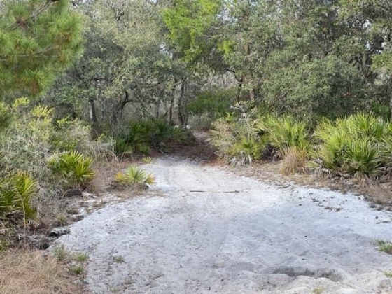 1986 SCRUB JAY TRAIL, FROSTPROOF, Florida 33843, ,Land,For Sale,SCRUB JAY,P4919812