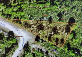 DAYTONA DRIVE, LAKE WALES, Florida 33898, ,Land,For Sale,DAYTONA,T3359709