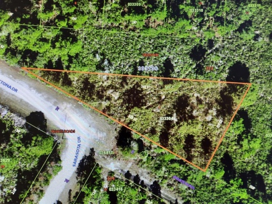 DAYTONA DRIVE, LAKE WALES, Florida 33898, ,Land,For Sale,DAYTONA,T3359709