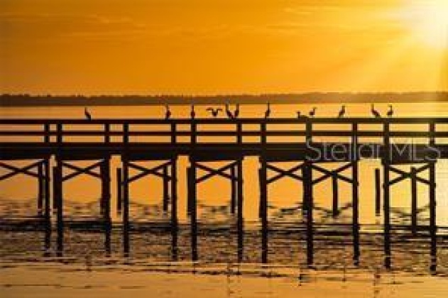 DAYTONA DRIVE, LAKE WALES, Florida 33898, ,Land,For Sale,DAYTONA,T3359709