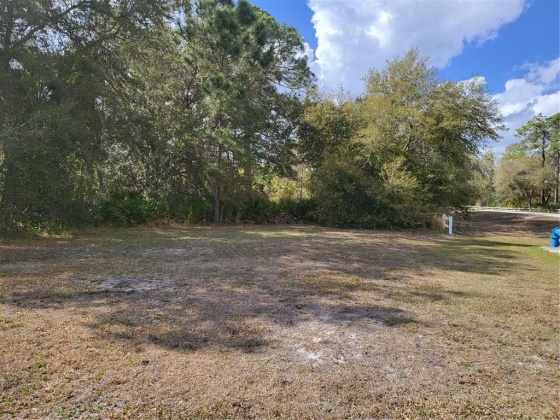 0 CLUB CIRCLE, LAKE WALES, Florida 33898, ,Land,For Sale,CLUB,P4919820