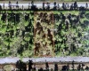 409 AZALEA DRIVE, INDIAN LAKE ESTATES, Florida 33855, ,Land,For Sale,AZALEA,T3359889