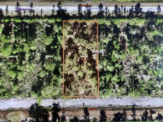 409 AZALEA DRIVE, INDIAN LAKE ESTATES, Florida 33855, ,Land,For Sale,AZALEA,T3359889