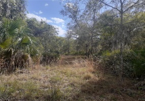 AMELIA STREET, LAKE WALES, Florida 33898, ,Land,For Sale,AMELIA,K4901669