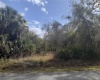 AMELIA STREET, LAKE WALES, Florida 33898, ,Land,For Sale,AMELIA,K4901669