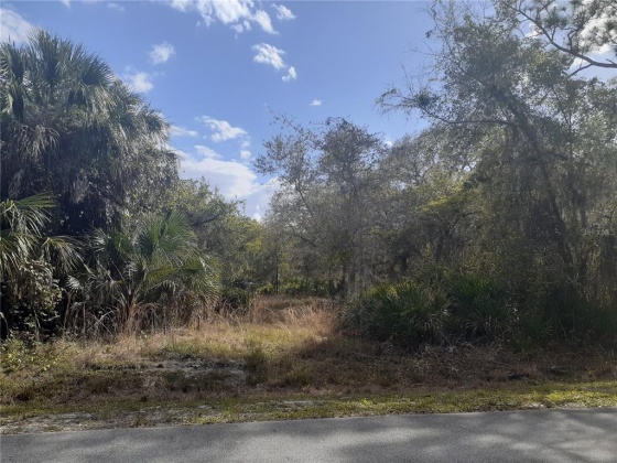 AMELIA STREET, LAKE WALES, Florida 33898, ,Land,For Sale,AMELIA,K4901669