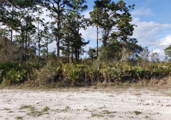 0 EL DORADO DR, LAKE WALES, Florida 33898, ,Land,For Sale,EL DORADO DR,P4919836