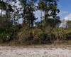 0 EL DORADO DR, LAKE WALES, Florida 33898, ,Land,For Sale,EL DORADO DR,P4919836