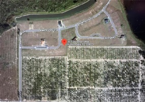 313 DORYMAN WAY, AUBURNDALE, Florida 33823, ,Land,For Sale,DORYMAN,O6009999