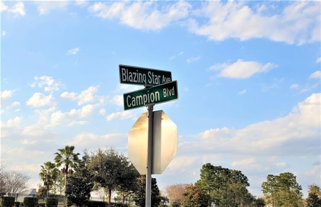 127 BLAZING STAR AVENUE, LAKE ALFRED, Florida 33850, ,Land,For Sale,BLAZING STAR,P4919845