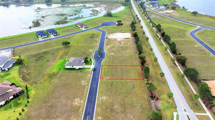 127 BLAZING STAR AVENUE, LAKE ALFRED, Florida 33850, ,Land,For Sale,BLAZING STAR,P4919845