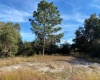 423 VERNON COURT, POINCIANA, Florida 34759, ,Land,For Sale,VERNON,P4918829