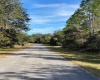 423 VERNON COURT, POINCIANA, Florida 34759, ,Land,For Sale,VERNON,P4918829