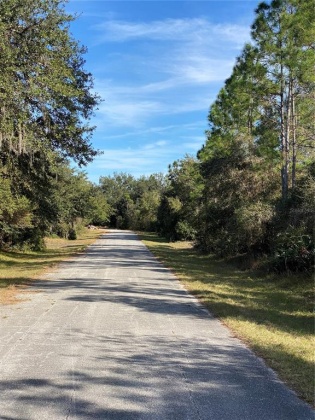 423 VERNON COURT, POINCIANA, Florida 34759, ,Land,For Sale,VERNON,P4918829