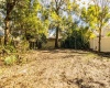 435 VINE STREET, BARTOW, Florida 33830, 2 Bedrooms Bedrooms, ,1 BathroomBathrooms,Residential,For Sale,VINE,L4928217