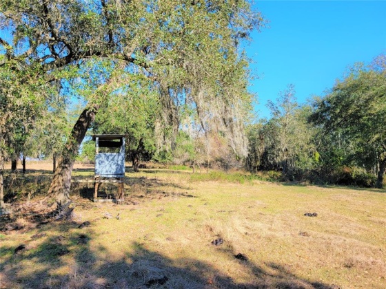 LAKE BUFFUM ROAD, FORT MEADE, Florida 33841, ,Land,For Sale,LAKE BUFFUM,B4900957