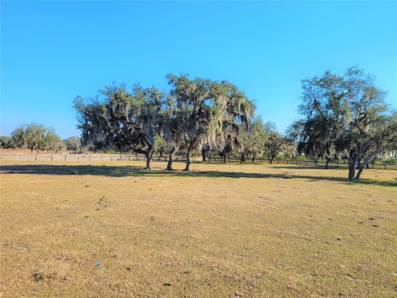 LAKE BUFFUM ROAD, FORT MEADE, Florida 33841, ,Land,For Sale,LAKE BUFFUM,B4900957