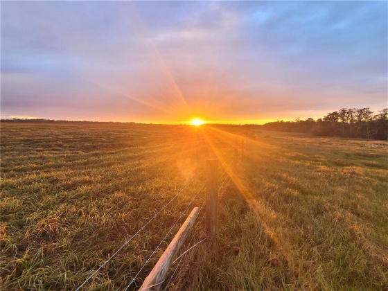 LAKE BUFFUM ROAD, FORT MEADE, Florida 33841, ,Land,For Sale,LAKE BUFFUM,B4900957