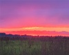 LAKE BUFFUM ROAD, FORT MEADE, Florida 33841, ,Land,For Sale,LAKE BUFFUM,B4900957