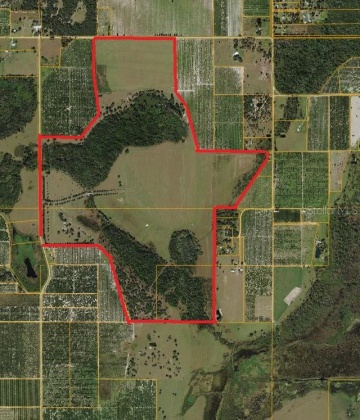 LAKE BUFFUM ROAD, FORT MEADE, Florida 33841, ,Land,For Sale,LAKE BUFFUM,B4900957