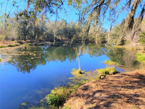 LAKE BUFFUM ROAD, FORT MEADE, Florida 33841, ,Land,For Sale,LAKE BUFFUM,B4900957