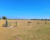 LAKE BUFFUM ROAD, FORT MEADE, Florida 33841, ,Land,For Sale,LAKE BUFFUM,B4900957